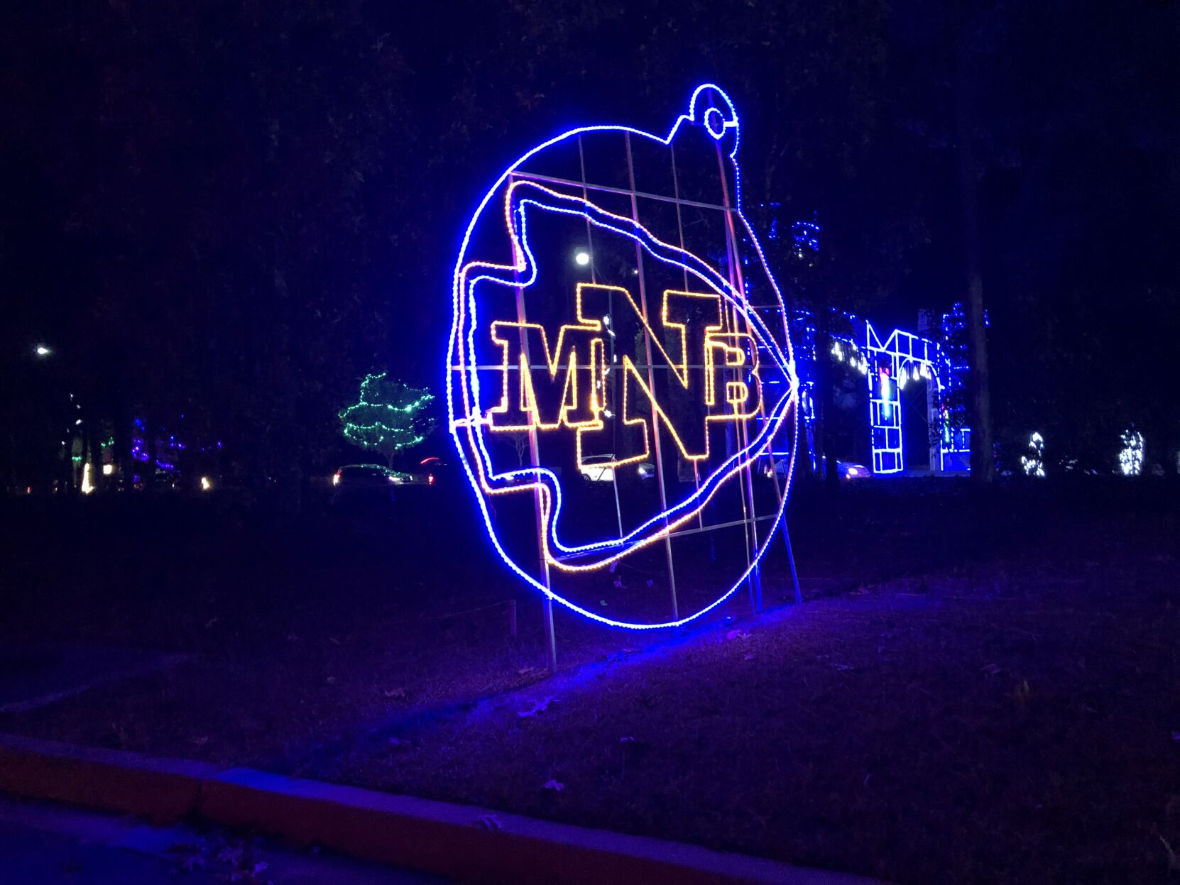 NMB Christmas light show 1